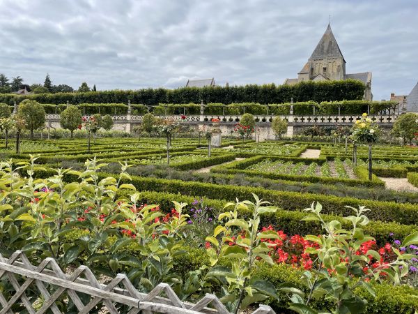 Villendry is also an RHS partner site, it is in France in the Loire region near to Blois and Tours  