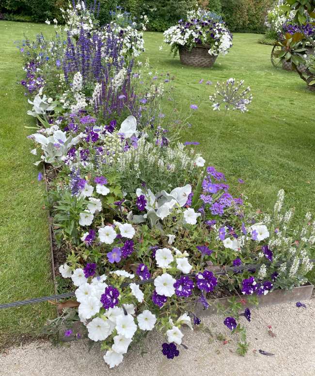 Chaumont sur le Loire Chateau plants in the garden include Verbena rigida and Zinnia.